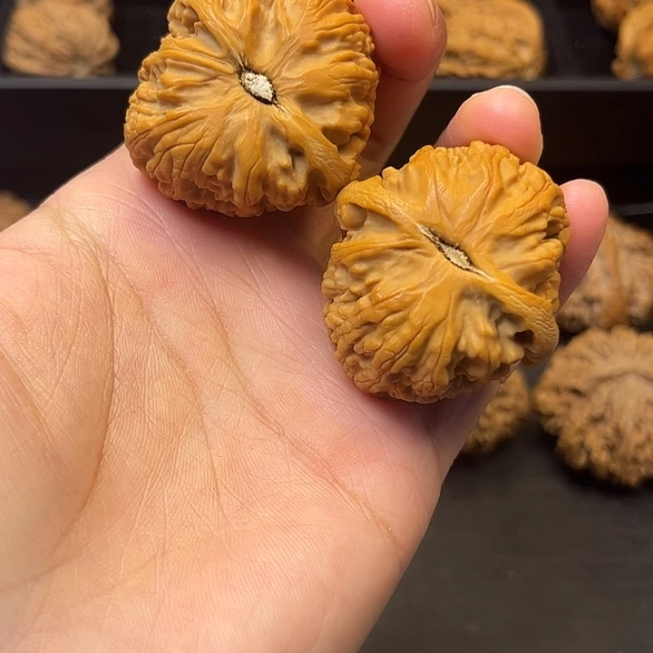 核桃秦岭突突突突突突