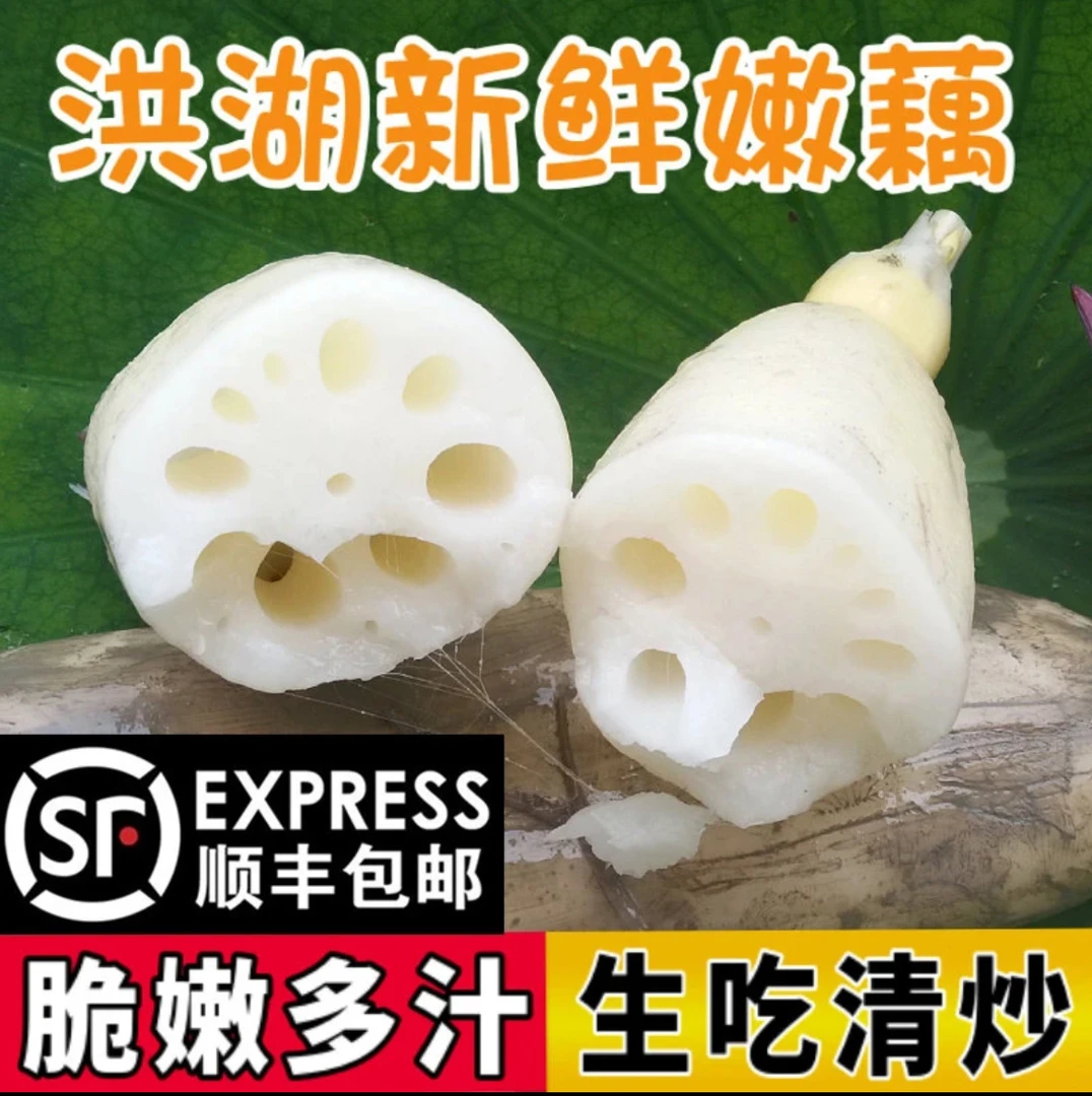 洪湖新鲜嫩藕脆藕 2025现挖新花藕4斤水果藕藕尖真空包装顺丰包邮