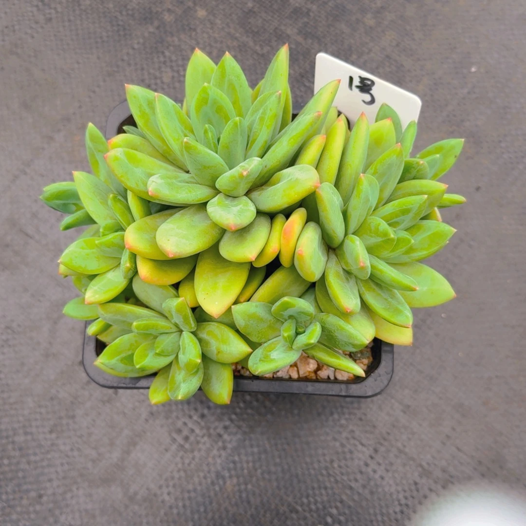 1号群福利1111111111111