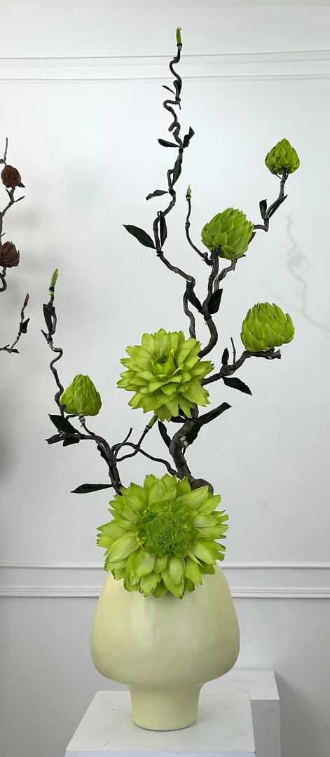 永生洋蓟，永生花一整套