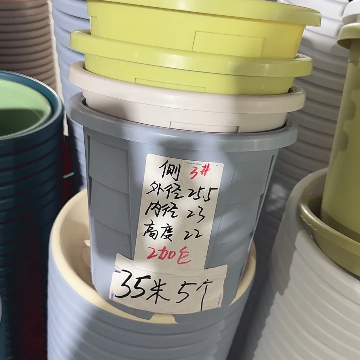 测26口径5个无托果绿