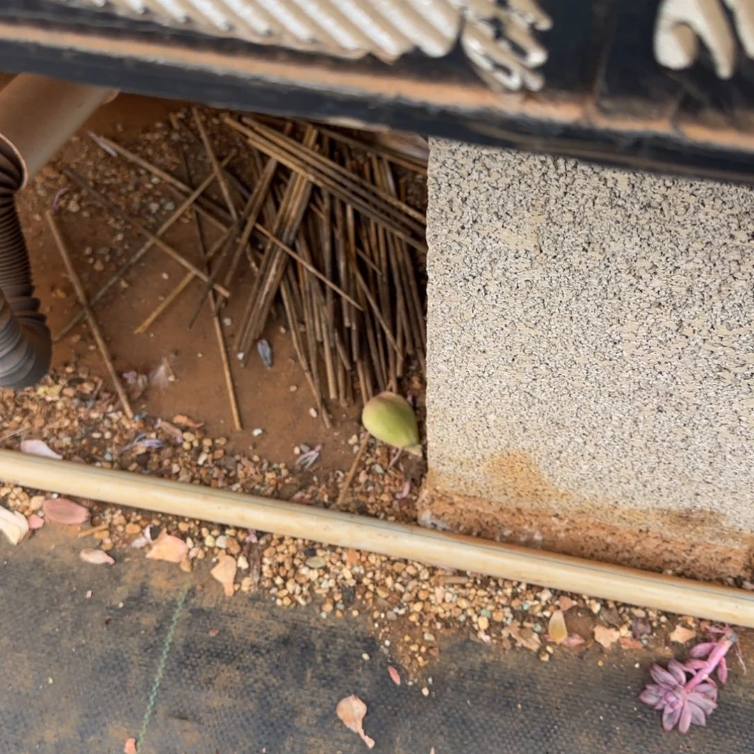 七***、混沌存款。