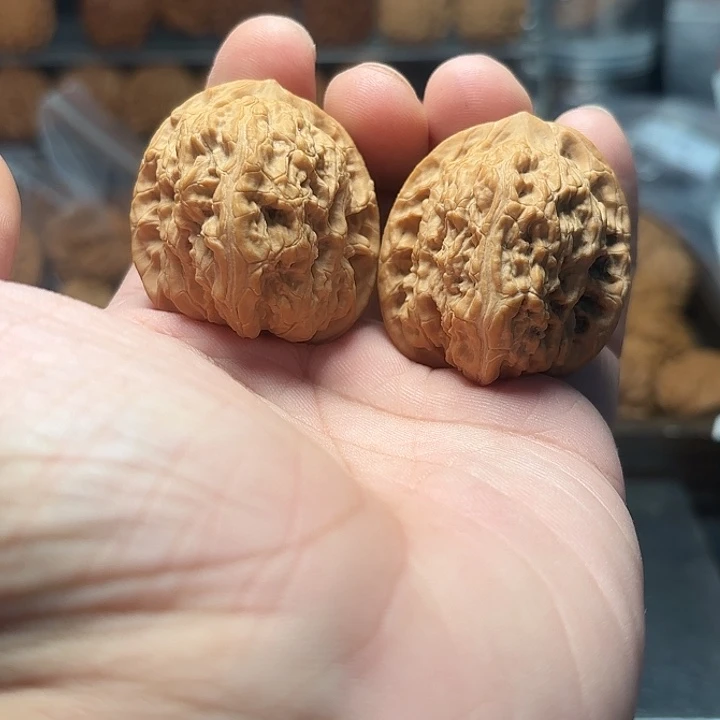 文玩核桃宽城狮子头43-518