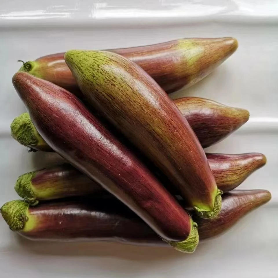 东北花茄子面包茄子酱茄子面包冰川茄子现摘现发