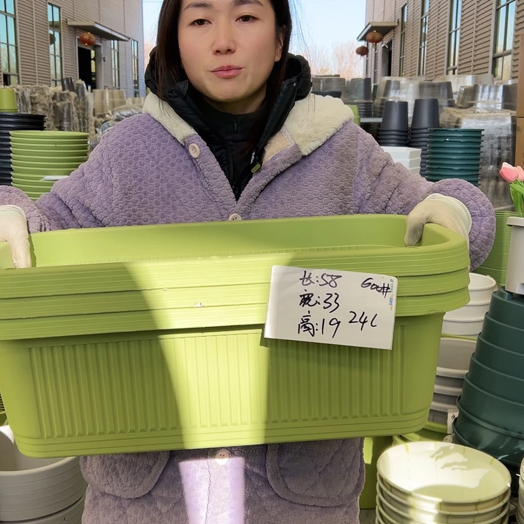 菜盆600#果绿3个（含托）