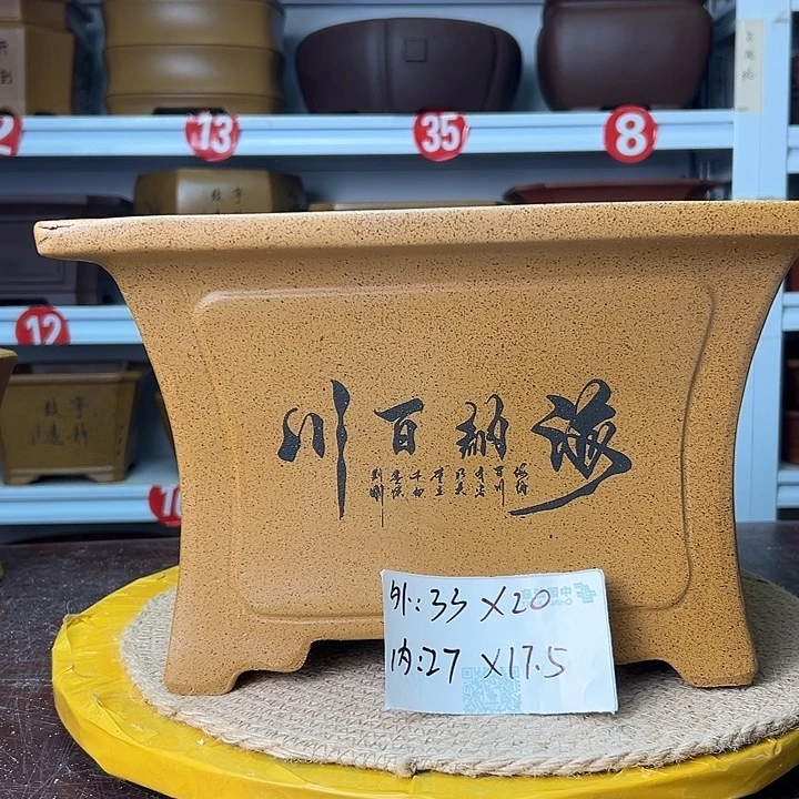 花盆紫砂蛇年大吉