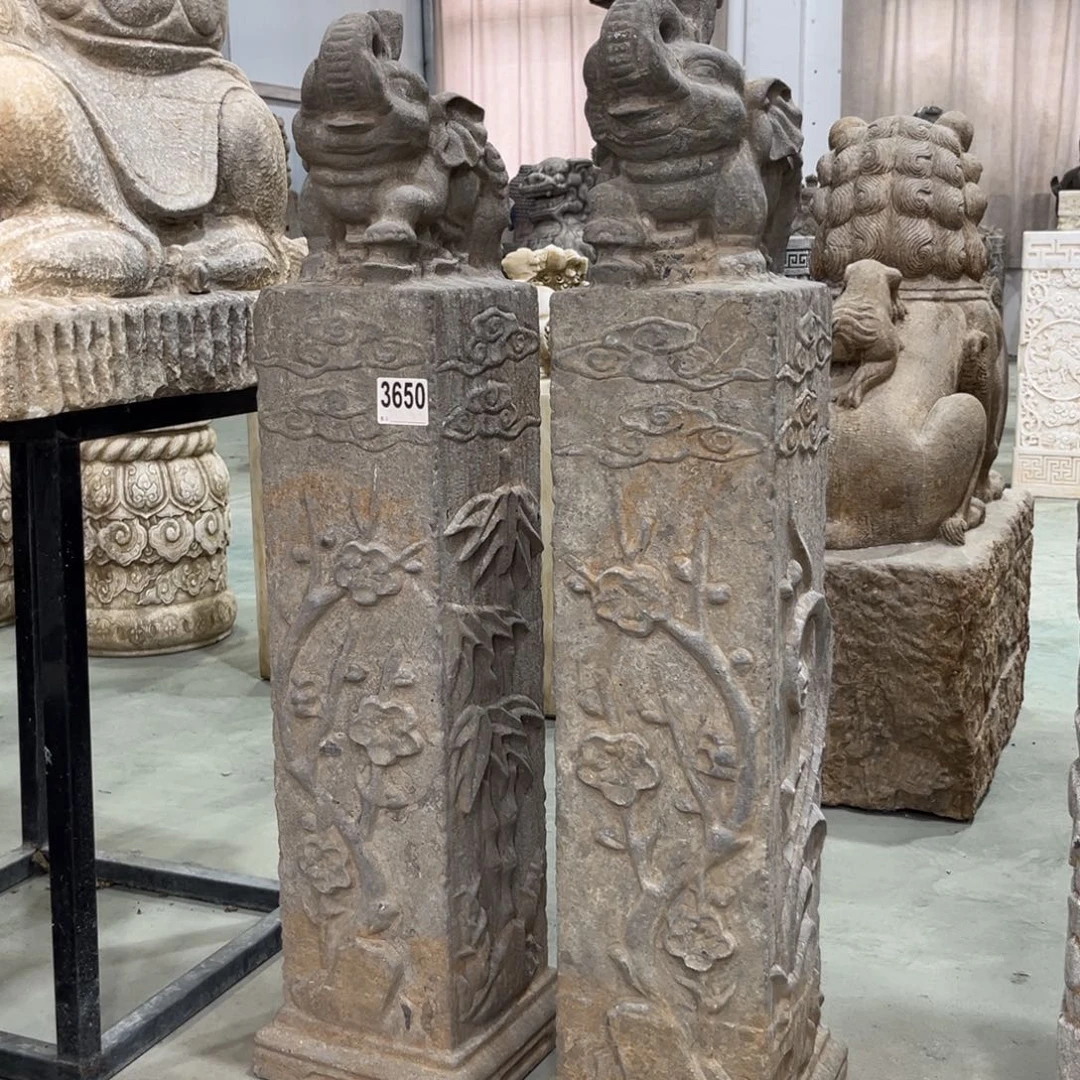 当前无花朵，栽培后可花朵果*．