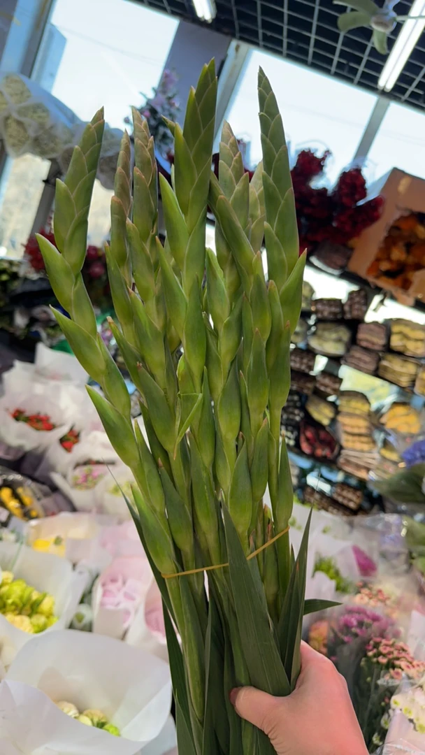 剑兰插花瓶步步高升