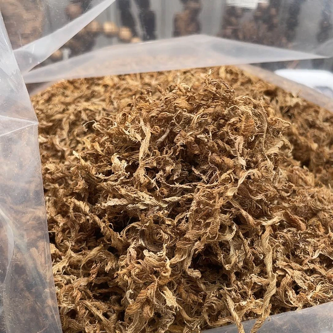 沉香碎屑沉香芽庄勾丝2克