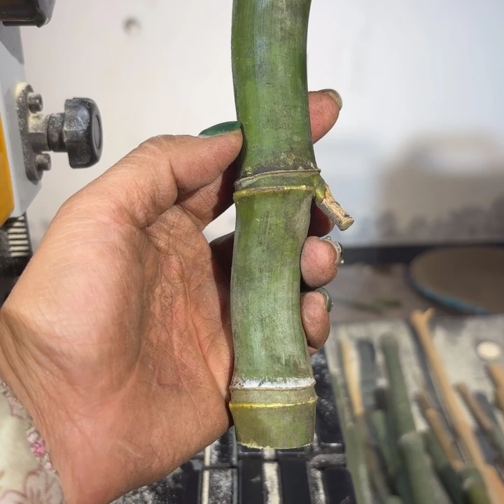 竹围*实心竹竹竹竹竹竹竹竹