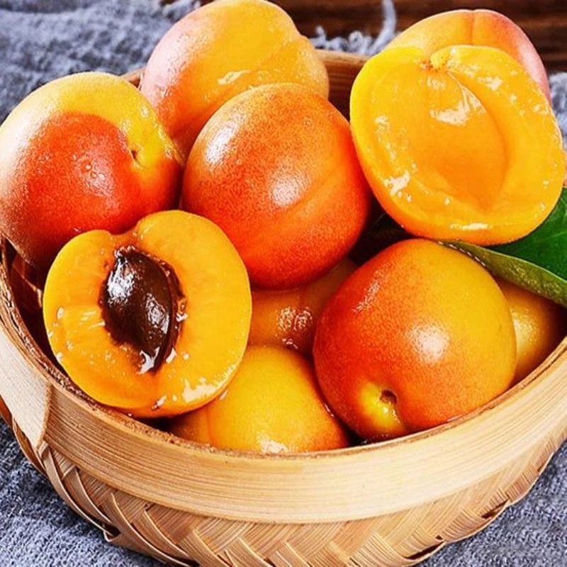 【汇峰农场】正宗新疆空运吊干杏小红杏3斤装（±2两）原箱发货顺丰/京东随机新疆维吾尔自治区