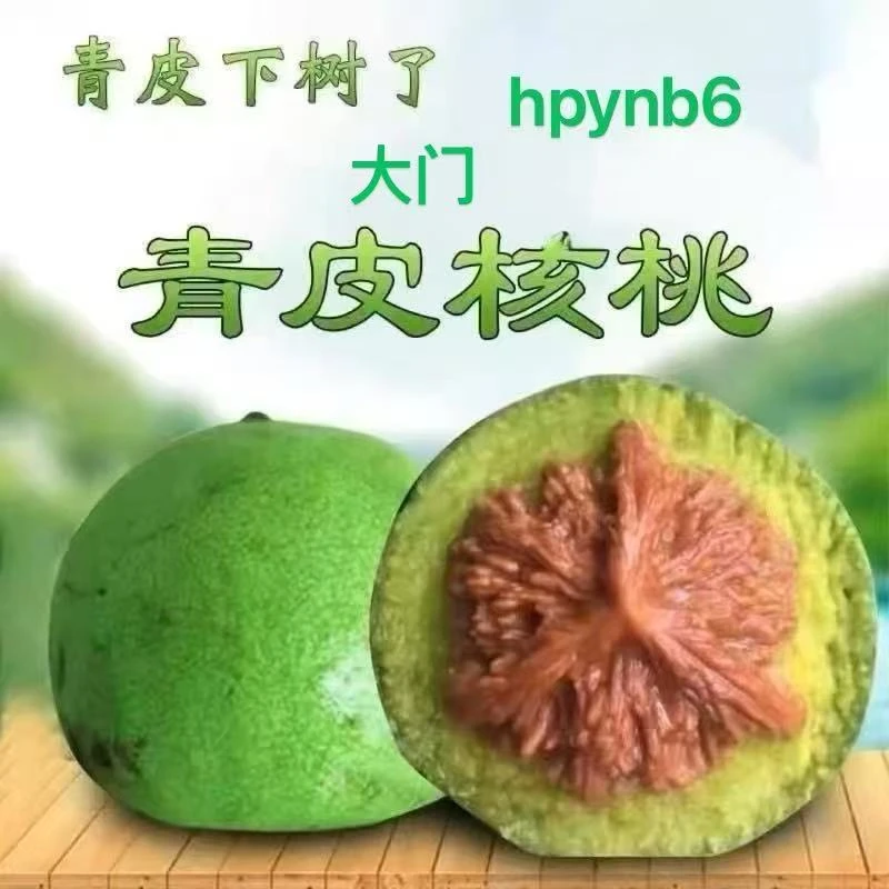 青皮文玩核桃定制不退不换