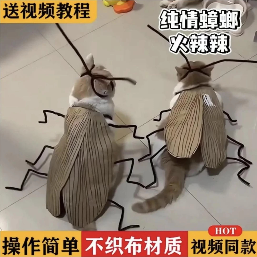 纯情蟑螂火辣辣猫咪衣服不织布扭扭棒手工DIY材料包创意搞怪道具