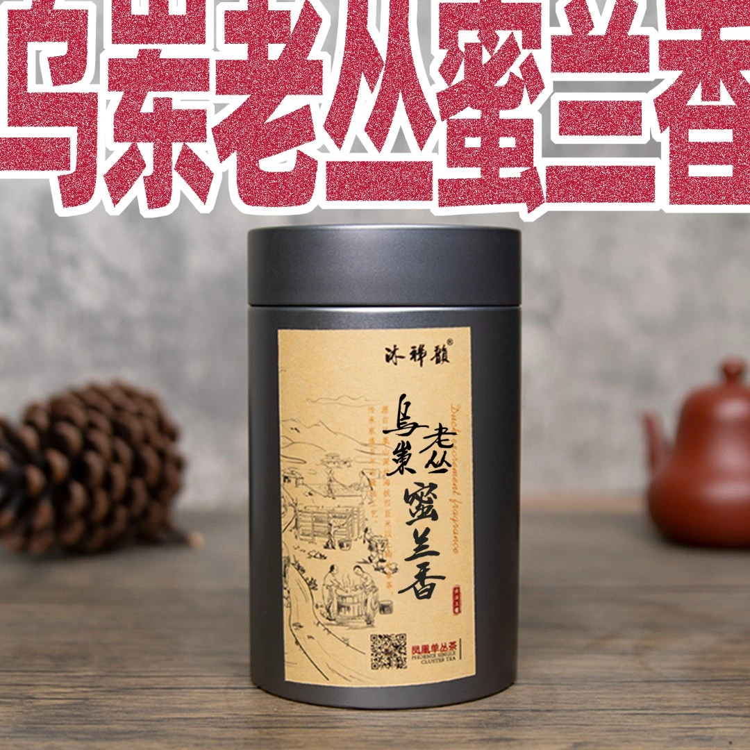 【千元级】乌岽老枞蜜兰香单枞，醇香广东潮州凤凰单丛茶