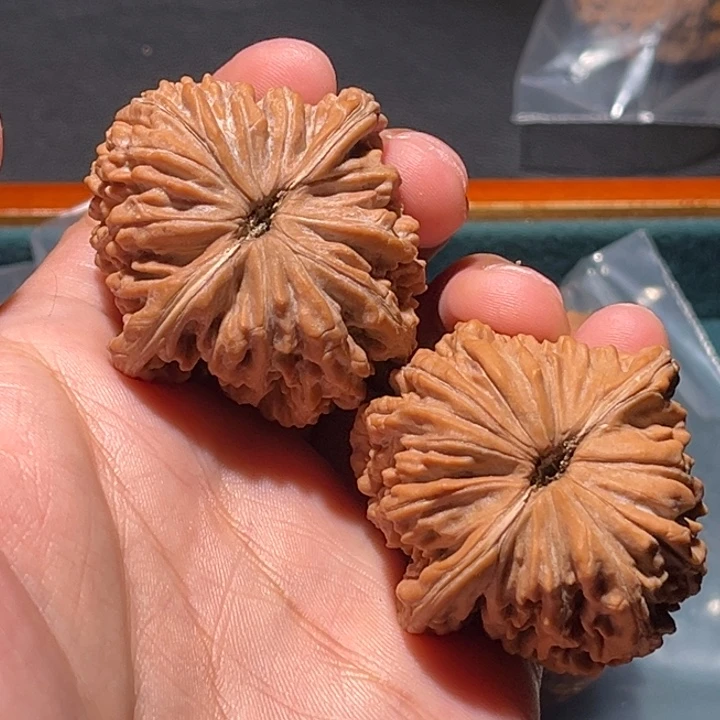 清***海把件文玩核桃42➕楼子