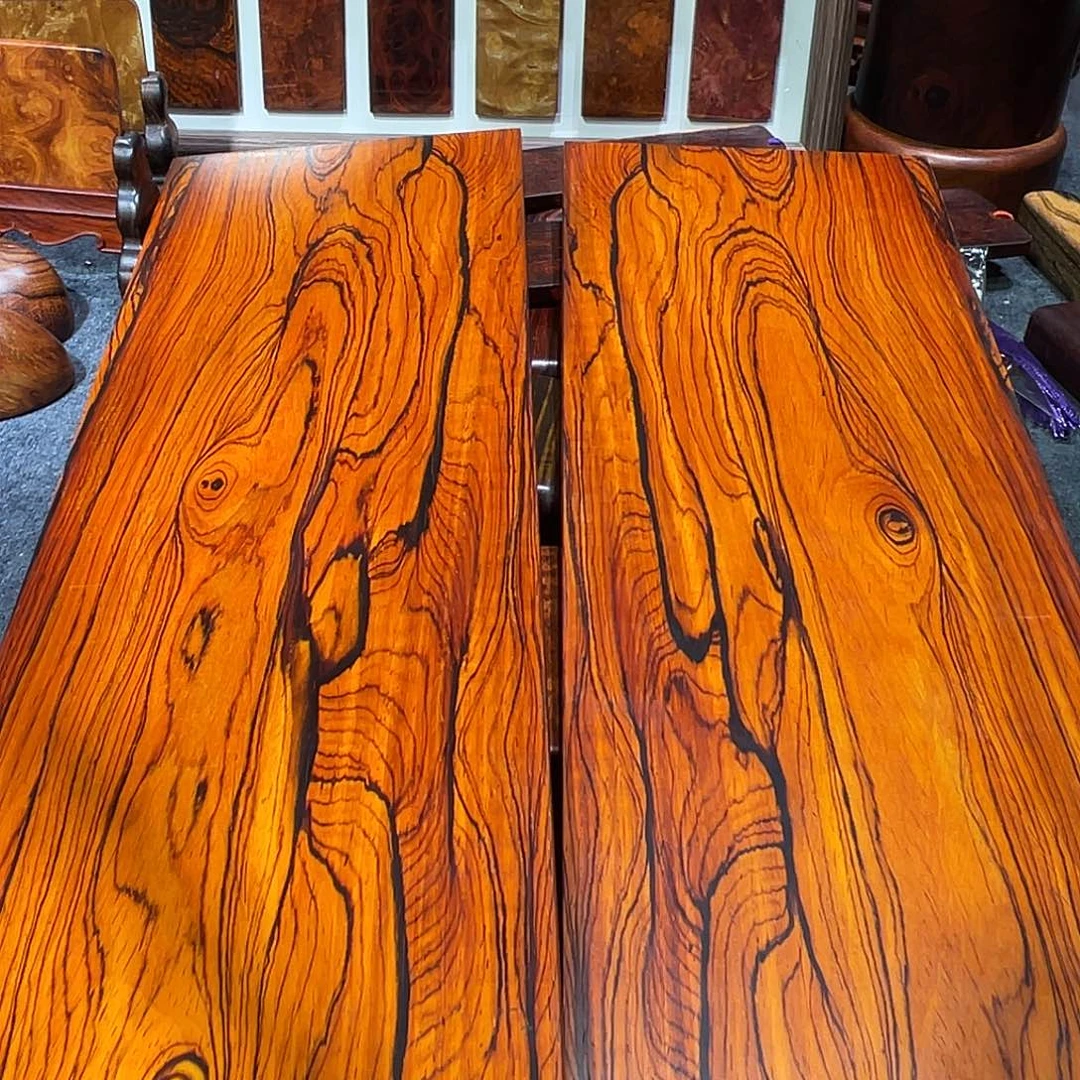 金***料牌子一物一拍直播间