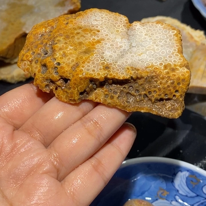 【闪购商品】未镶嵌珊瑚玉硅化玉