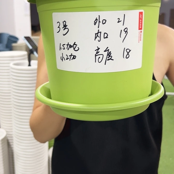 特价3号口21高18果绿色10只带托