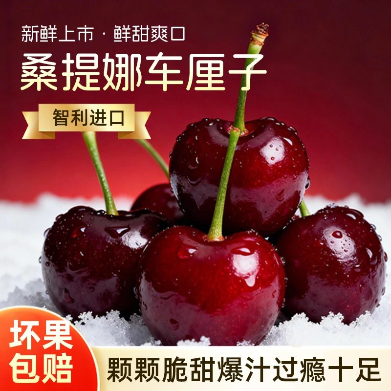 【原箱5斤】智利桑提娜海运2JD-4JD直达新鲜水果鲜脆多汁内附果径卡