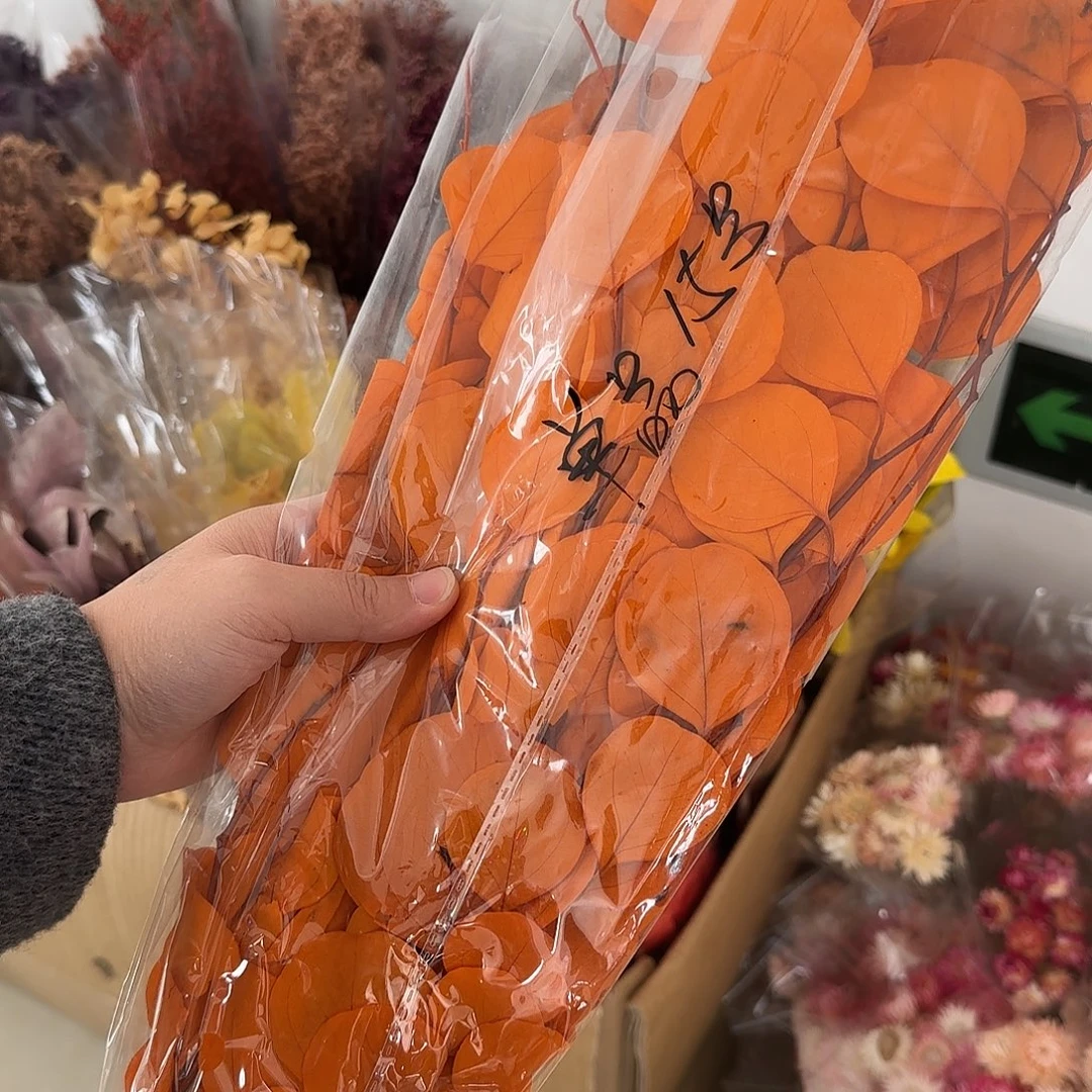 完全开放单品15号橙色苹果叶