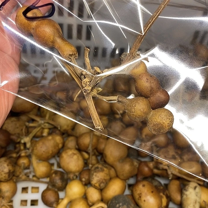 孤****柔精品葫芦手把葫芦91