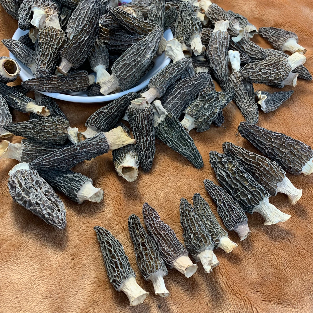 【翠妹】（次日达）六妹羊肚菌四川头茬羊肚菌味道鲜浓煲汤羊肚菌干货