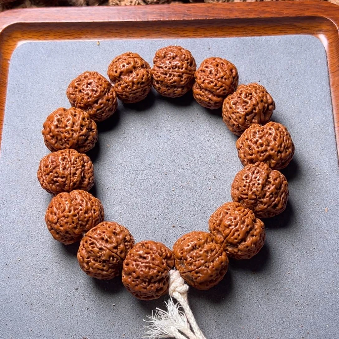 菩提23号金刚菩提爆肉安娜梅花24