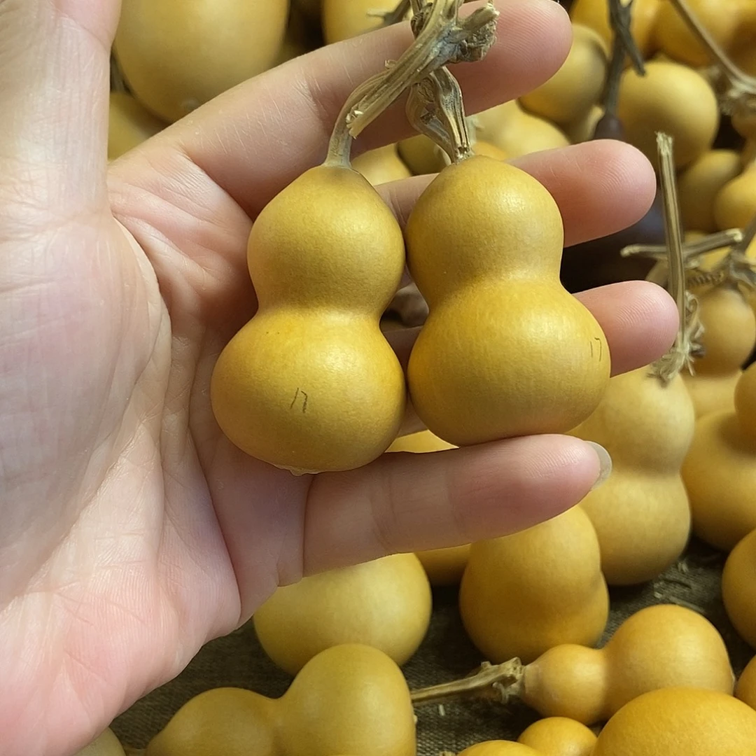 文玩葫芦 完美主义者 慎拍17