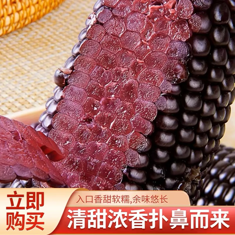 天津本地陆地黑糯玉米清甜香糯，现摘现发，可蒸煮可即食顺丰包邮