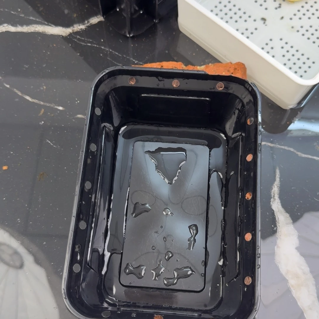 母绿毛龟?****?6快福利龟龟