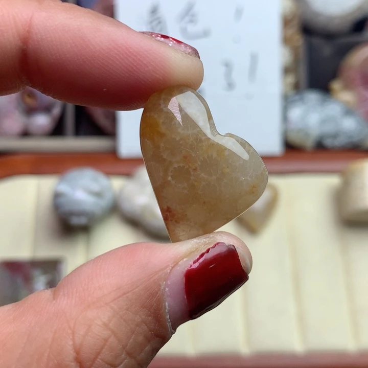 硅化珊瑚（珊瑚玉）颈饰未镶嵌