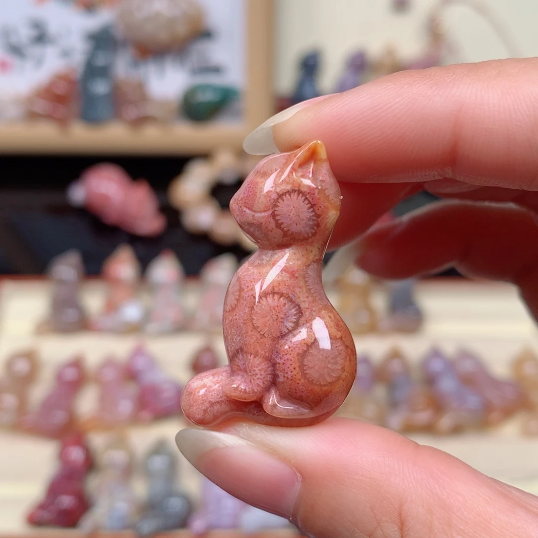 硅化玉珊瑚玉未镶嵌