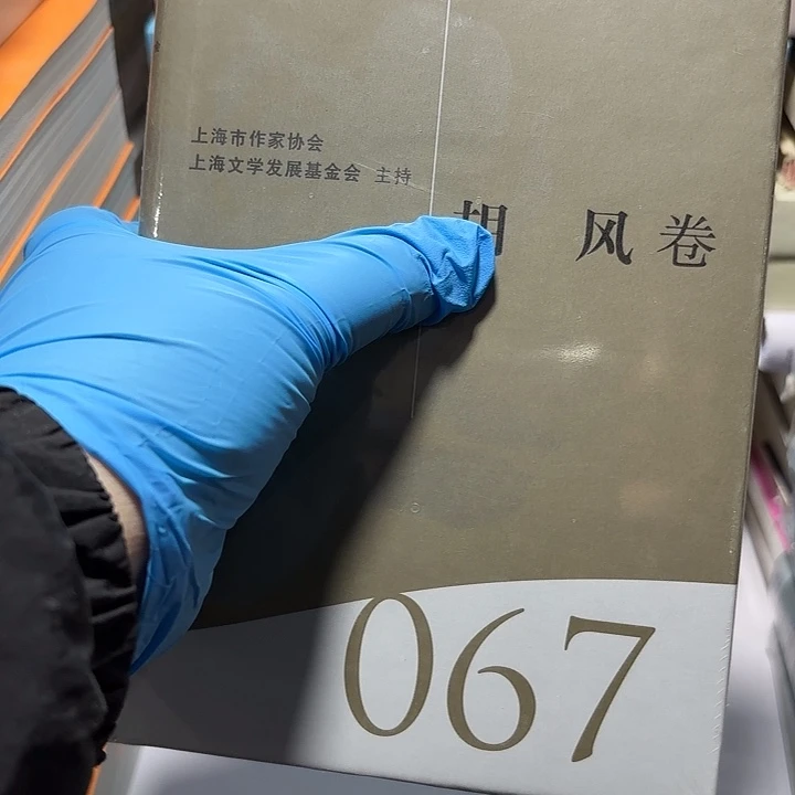 什么风………………………………