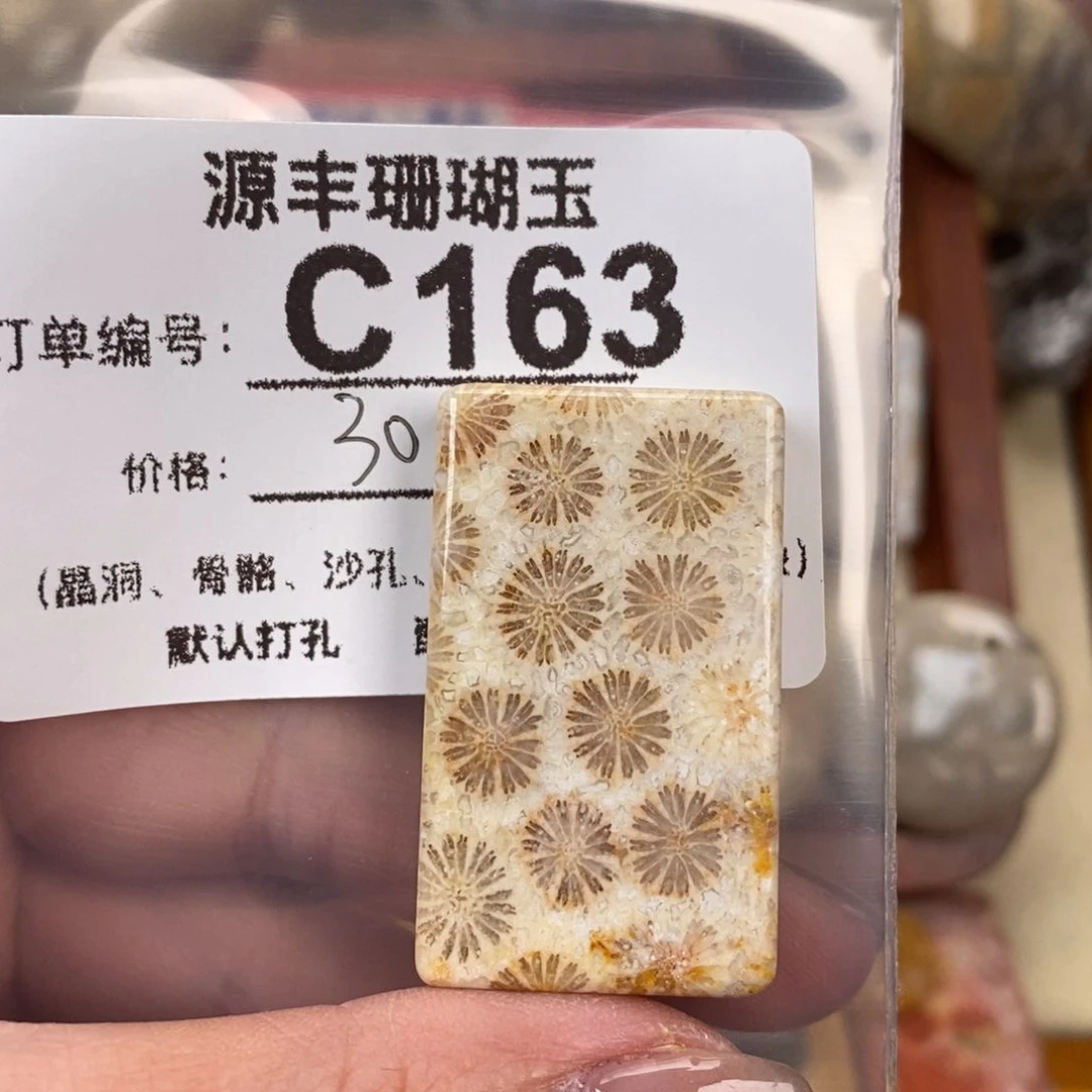 硅化玉颈饰未镶嵌木*