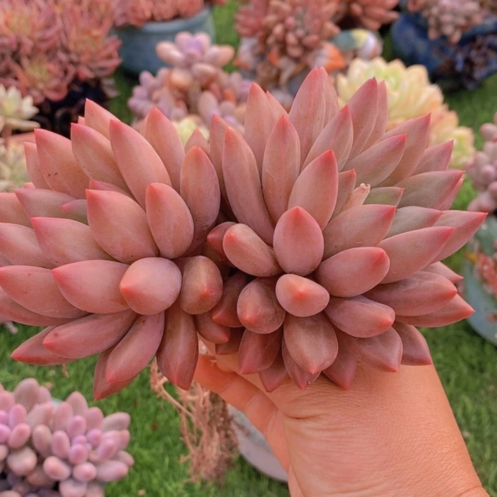 是吗这不还没有下班