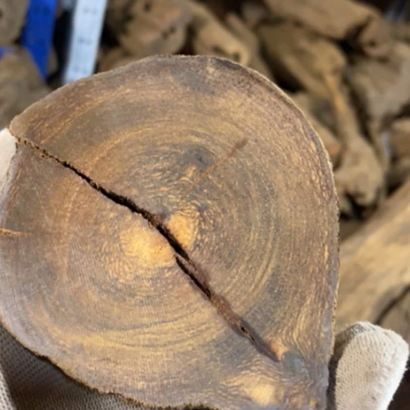 【闪购商品】贡木手串李**生私人订制