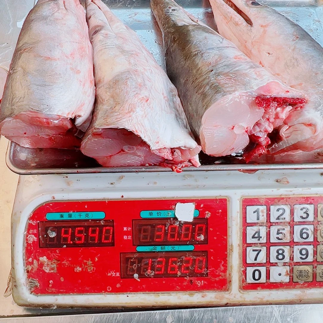 中国大陆四个鳗鱼头