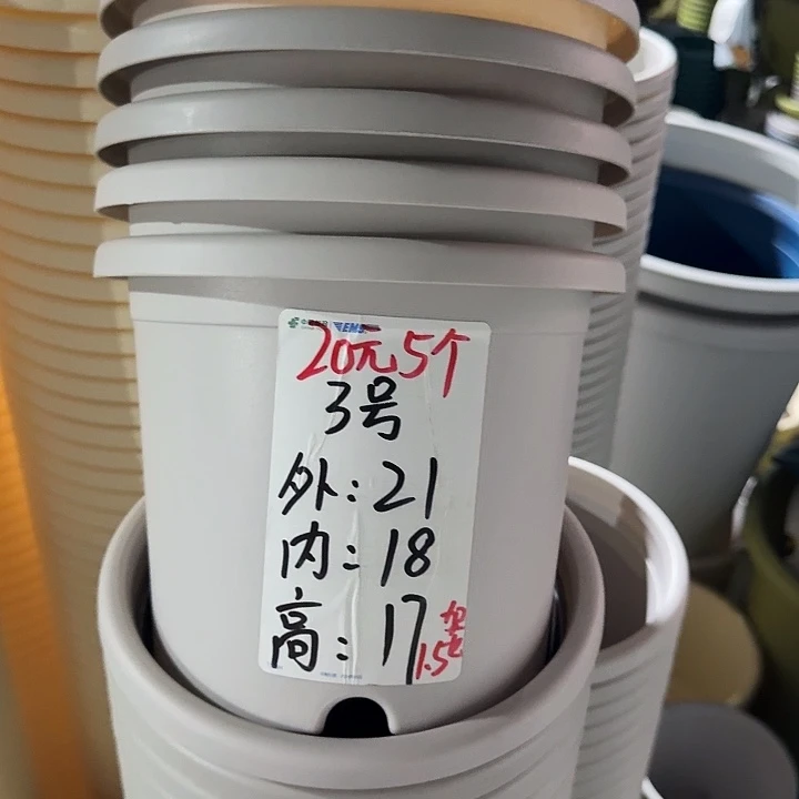 编号3#灰白10个无托