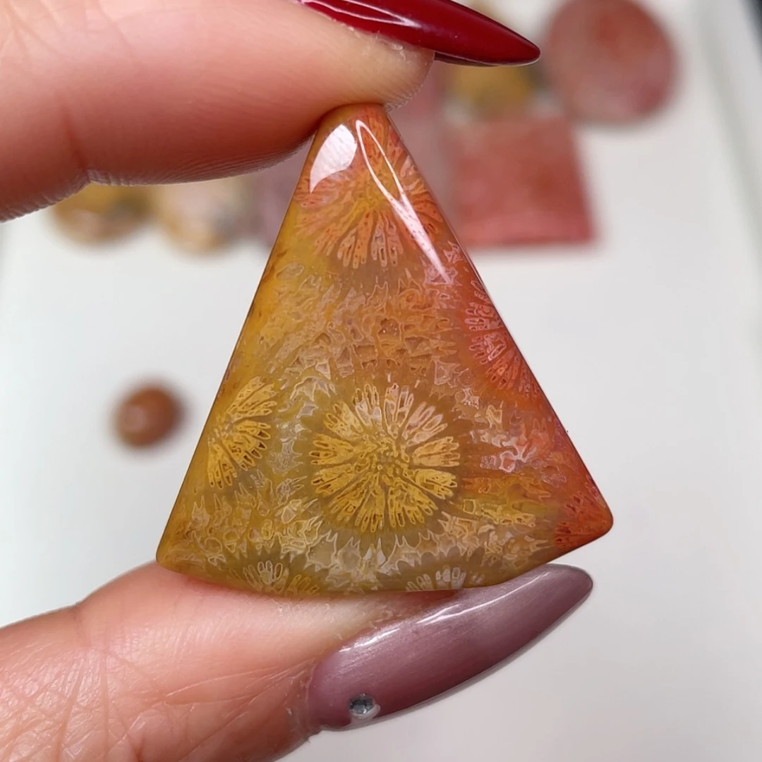 【闪购商品】未镶嵌吊坠(赠链)硅化玉
