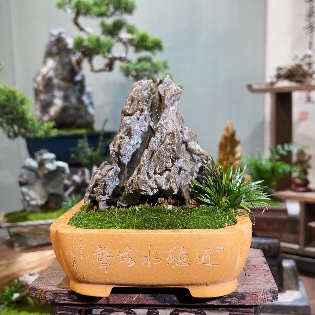 完全开放00000001