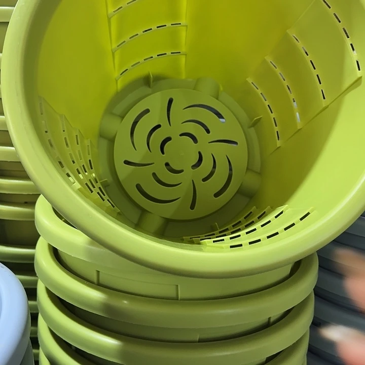 编号801果绿无托4个