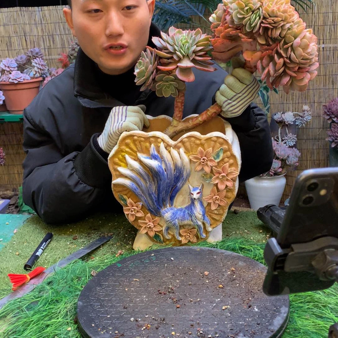 L**.六盘水白雪公主缀