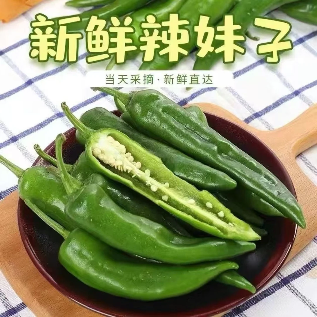 辣妹子薄皮辣妹子