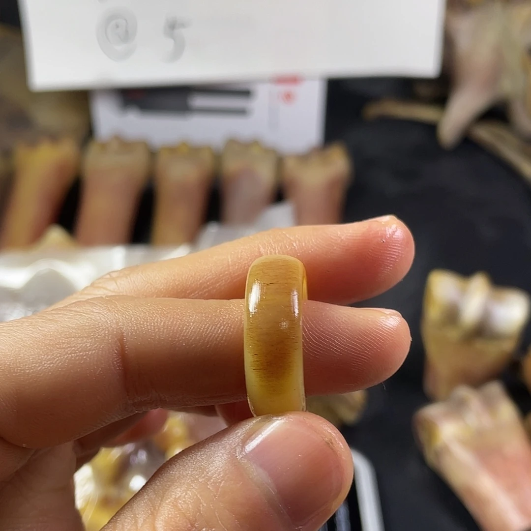 男***强手串/手链驼骨戒指