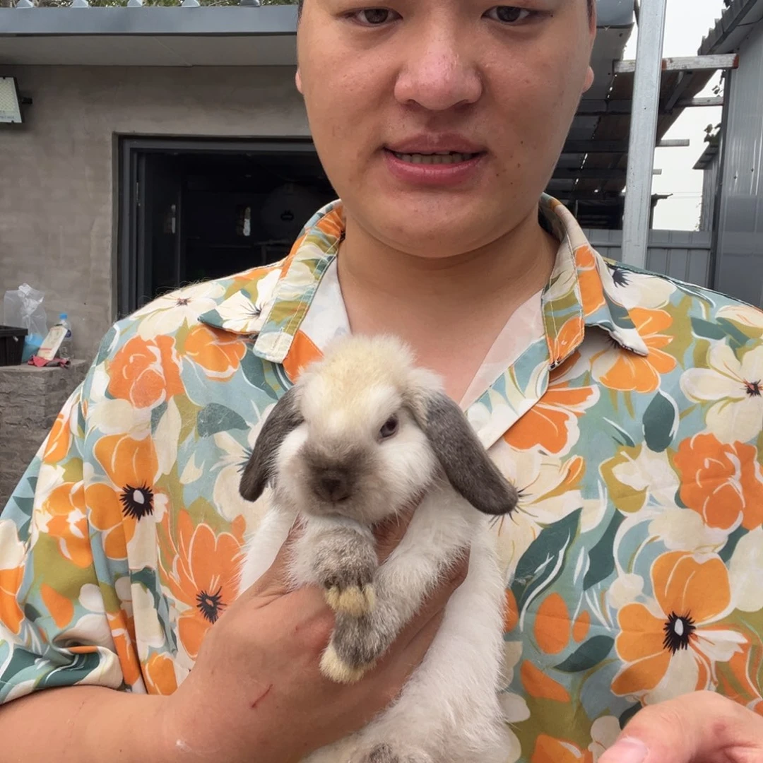 1111111111111宠物