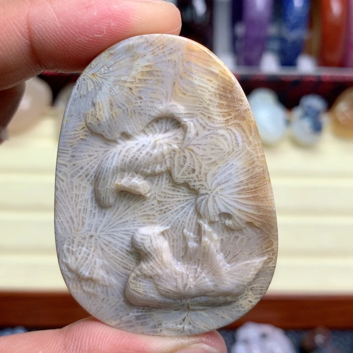 硅化珊瑚（珊瑚玉）未镶嵌颈饰