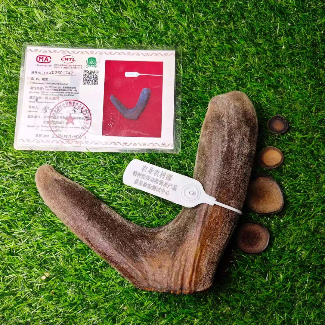 鑫蕉下客梅花鹿干鹿茸头茬二杠足干长春双阳鹿乡