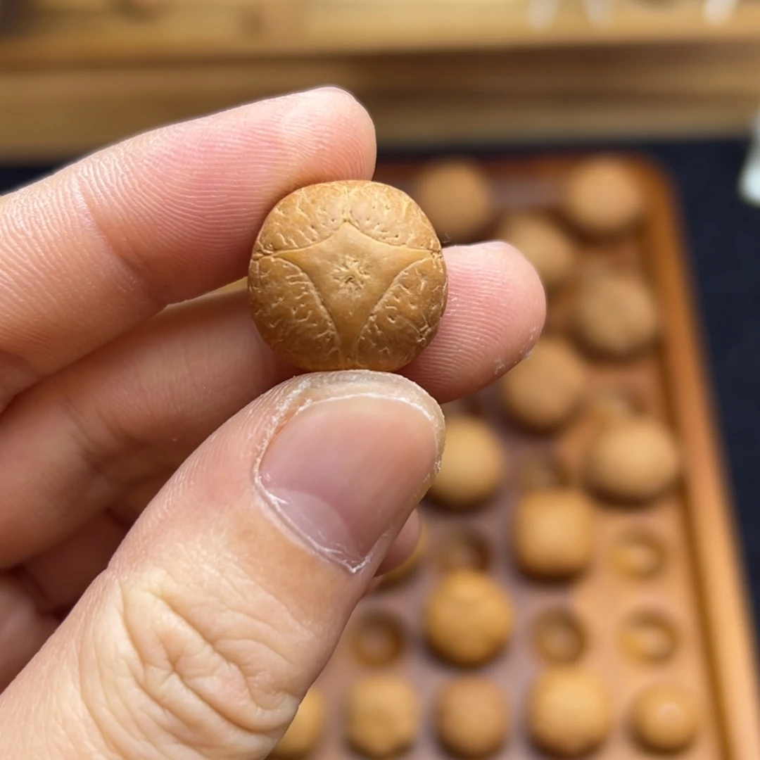 手串凤眼菩提17.9麒麟眼