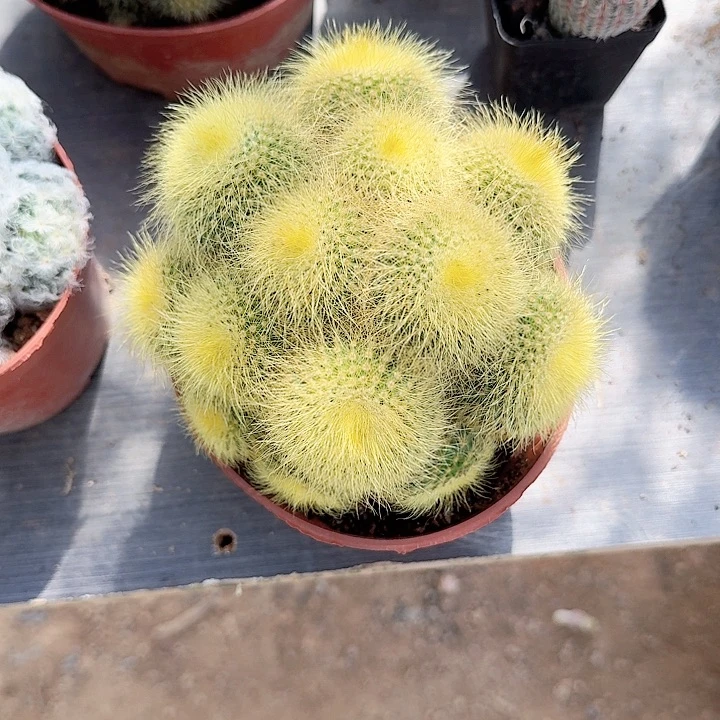 微***天有哈哈哈哈哈哈哈哈