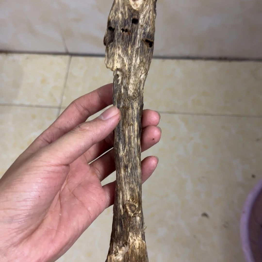 沉香碎屑沉香虫漏